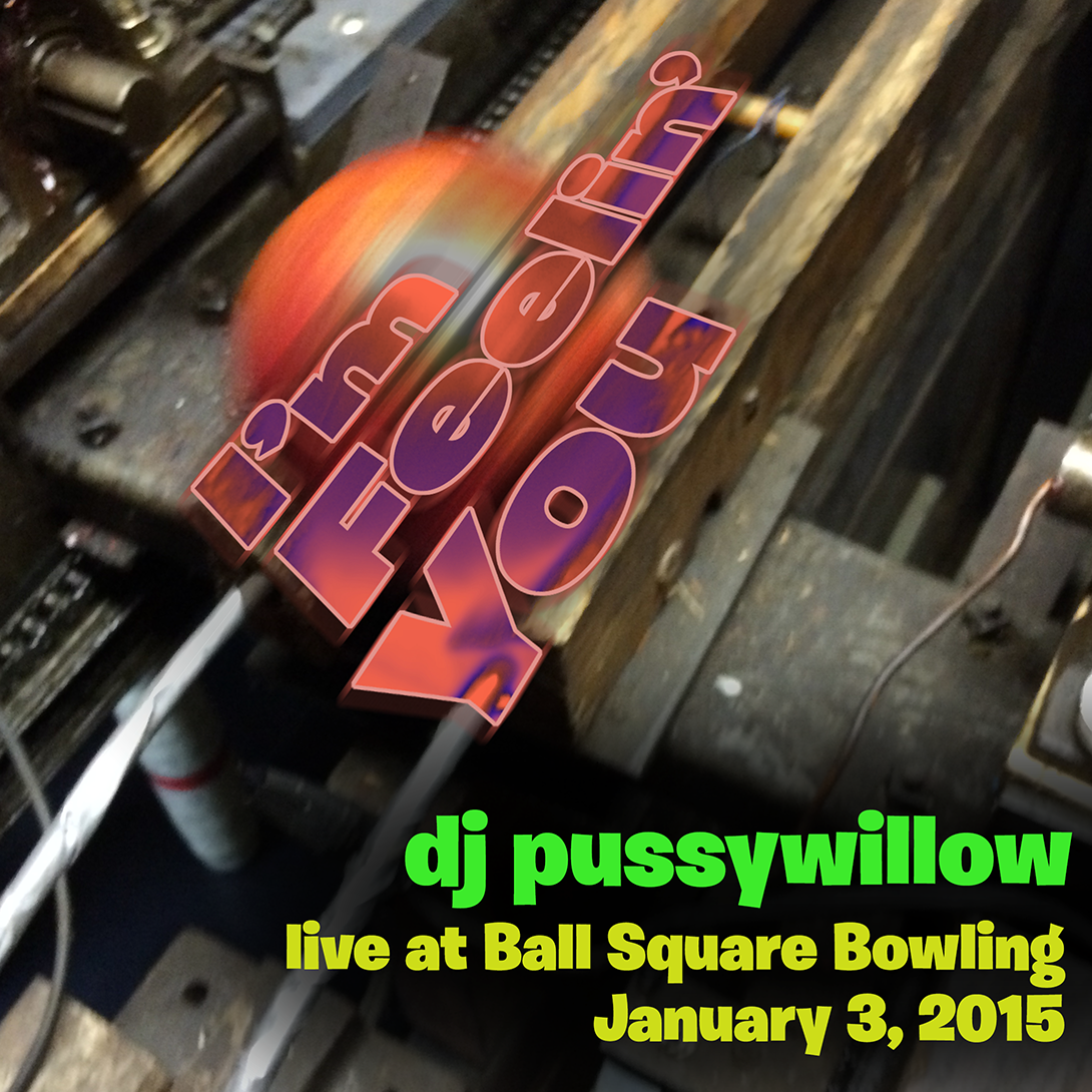Live at Circle Bowling, January 3, 2015