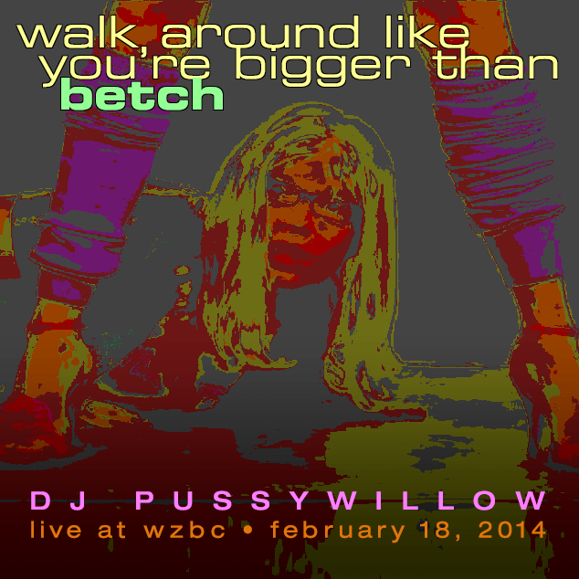 Live on WZBC, February 18, 2014